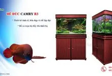 Sản phẩm be ca trung quoc camry1 220x150 — Công Ty CP Đầu Tư Và Phát Triển Thương Mại Thái Hòa — MST 0107554868