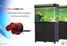 Sản phẩm be duc camry db 1 220x150 — Công Ty CP Đầu Tư Và Phát Triển Thương Mại Thái Hòa — MST 0107554868
