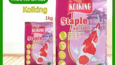 Sản phẩm KoiKing staple 1 390x220 — Công Ty CP Đầu Tư Và Phát Triển Thương Mại Thái Hòa — MST 0107554868