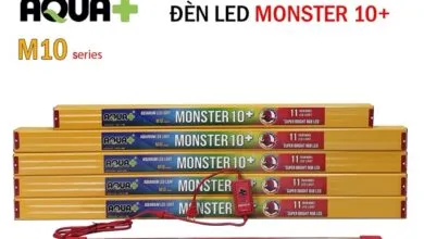 Sản phẩm den led be ca canh m10 04 390x220 — Công Ty CP Đầu Tư Và Phát Triển Thương Mại Thái Hòa — MST 0107554868