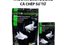 Sản phẩm Thuc an aquaplus ca chep phi t 220x150 — Công Ty CP Đầu Tư Và Phát Triển Thương Mại Thái Hòa — MST 0107554868