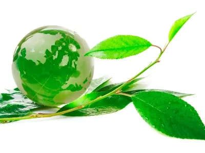 Sản phẩm environment with greean earth — Công Ty TNHH XNK Xây Dựng X-Line Việt Nam — MST 0107555396