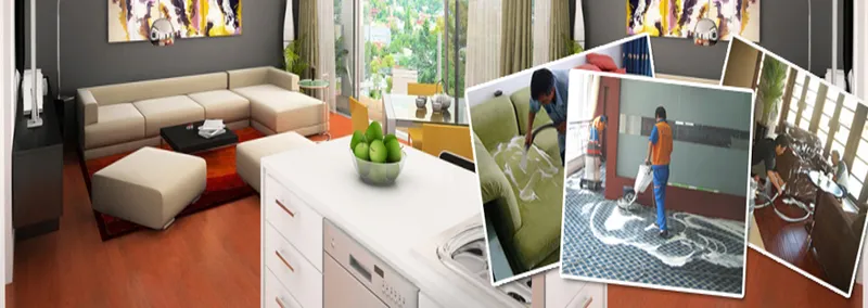 Sản phẩm 7 — Công Ty TNHH Đầu Tư Phát Triển Công Nghệ Hoàn Mỹ — MST 0107560646