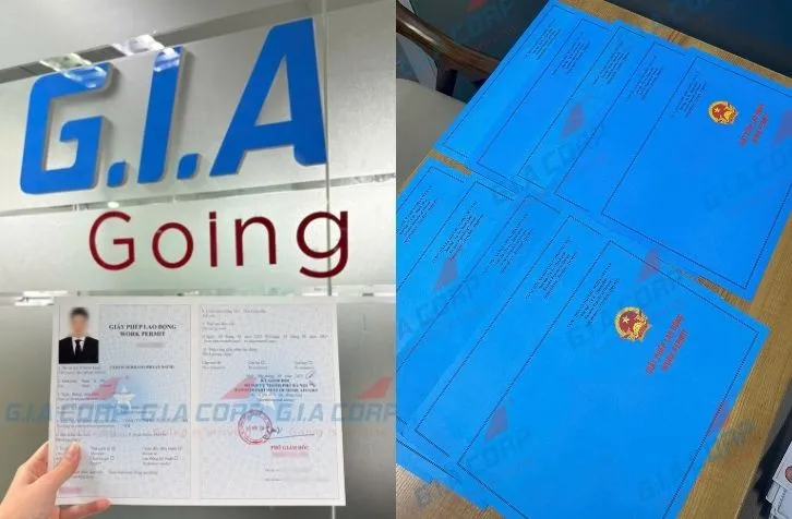 Sản phẩm ANH COVER BAI SEO 97 — Công Ty Cổ Phần Dịch Vụ Quốc Tế Gia Corp — MST 0107562548