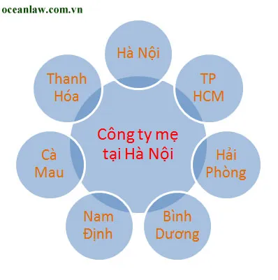 Văn phòng Công Ty TNHH Oceanlaw D&T Việt Nam #? — MST 0107570570