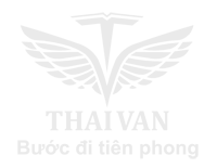 Logo Công Ty TNHH Thương Mại Quốc Tế Thái Vân