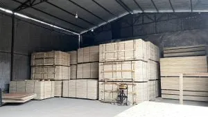 Sản phẩm vietnam plywood manufactuer 300x169 — Ván ép H&G - Công Ty TNHH Xuất Nhập Khẩu H&G — MST 0107596385