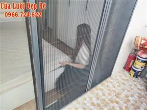 Sản phẩm resize_cua luoi chong muoi dang xep 2 canh mau xingpha dx12 — Công Ty TNHH Kinh Doanh Tổng Hợp Royal Lotus — MST 0107619466