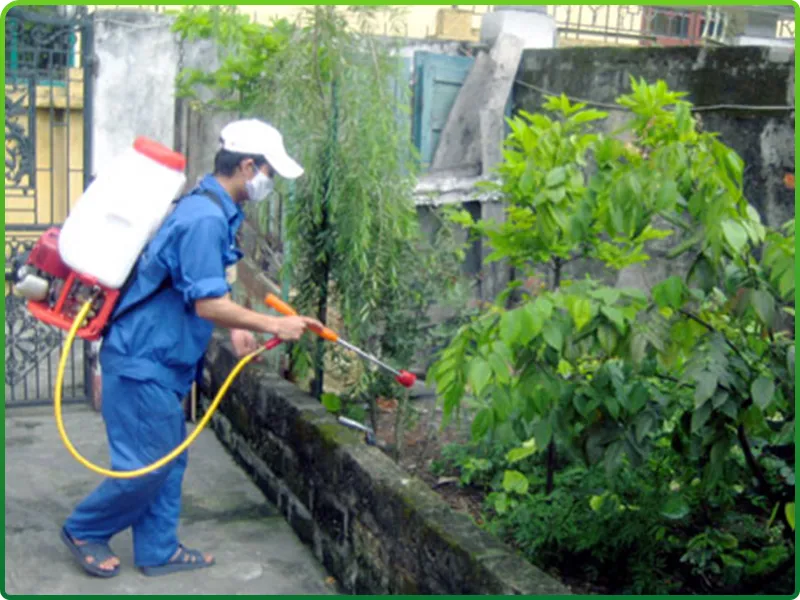 Sản phẩm dv khu khuan — Công Ty TNHH Dịch Vụ Vệ Sinh Làm Sạch Thành Lộc — MST 0107631142