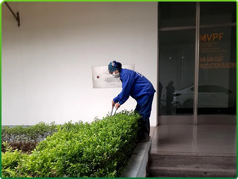 Sản phẩm dvvs5 — Công Ty TNHH Dịch Vụ Vệ Sinh Làm Sạch Thành Lộc — MST 0107631142