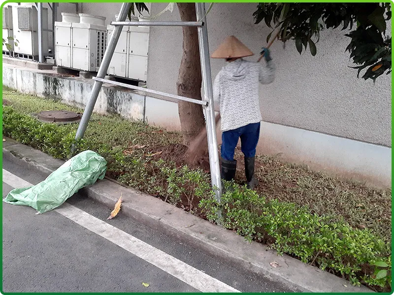 Sản phẩm dvvs6 — Công Ty TNHH Dịch Vụ Vệ Sinh Làm Sạch Thành Lộc — MST 0107631142