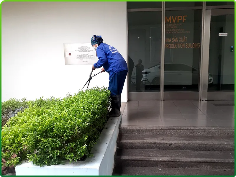 Sản phẩm dvvs8 — Công Ty TNHH Dịch Vụ Vệ Sinh Làm Sạch Thành Lộc — MST 0107631142