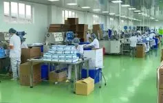 Sản phẩm Gửi khẩu trang y tế khẩu trang vải đi quốc tế 237x150 — Công Ty TNHH Dịch Vụ Thương Mại Xuất Nhập Khẩu DT — MST 0107660351
