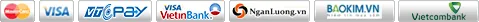Sản phẩm thanhtoan — Công Ty Cổ Phần Đầu Tư TP Trường Linh Việt Nam — MST 0107661404
