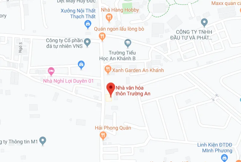 Sản phẩm google map — Công Ty Cổ Phần Đầu Tư TP Trường Linh Việt Nam — MST 0107661404