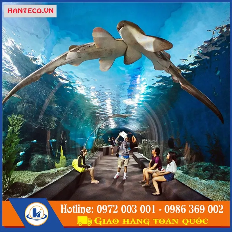 Sản phẩm vach acrylic thuy cung — áo Phao Bơi, Phao Cứu Sinh Hanteco - Công Ty TNHH Thương Mại Và Công Nghệ
Hanteco Việt Nam — MST 0107702770
