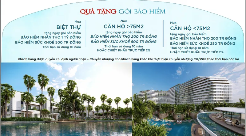 Sản phẩm Qua tang goi bao hiem tai essence Ho Tram — Dầu Nhờn ESSEN - Công Ty CP Dầu Khí Essence — MST 0107704270