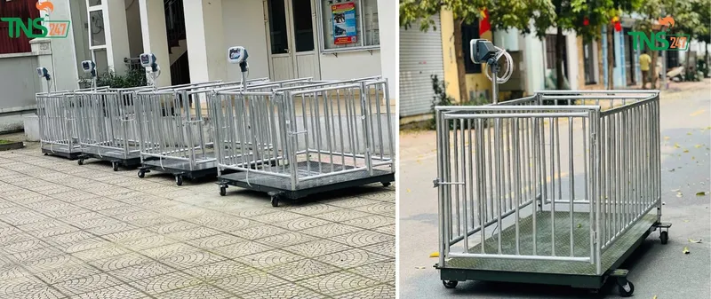 Sản phẩm 3 — Công Ty TNHH Thiết Bị Đo Lường Và Công Nghiệp 247 — MST 0107705669