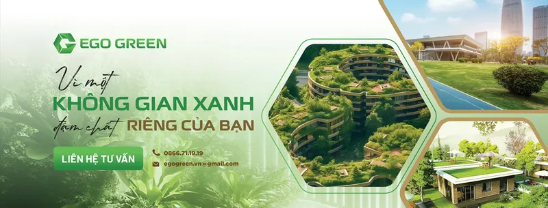 Sản phẩm ego_1757920531 — Thiết Kế Cảnh Quan Ego - Công Ty TNHH Cảnh Quan Xanh Ego Việt Nam — MST 0107721727