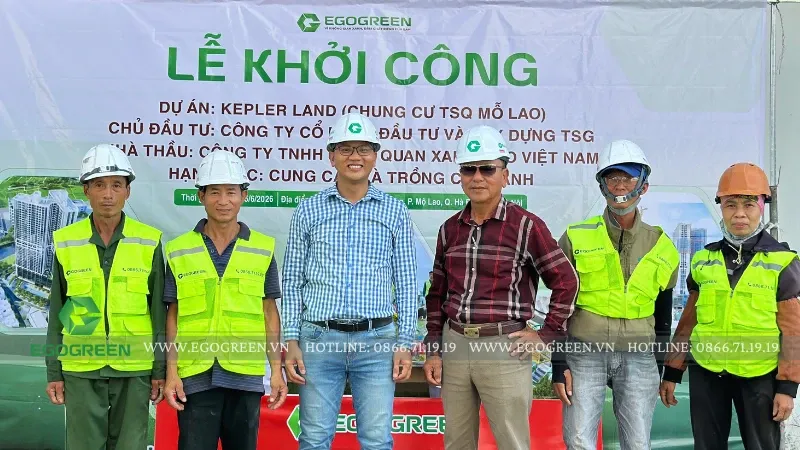 Sản phẩm egogreen.vn (800 x 450 px)_1782466092 — Thiết Kế Cảnh Quan Ego - Công Ty TNHH Cảnh Quan Xanh Ego Việt Nam — MST 0107721727