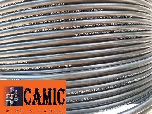 Sản phẩm 20200716_135550 — Công Ty CP Camic Hà Nội — MST 0107721808