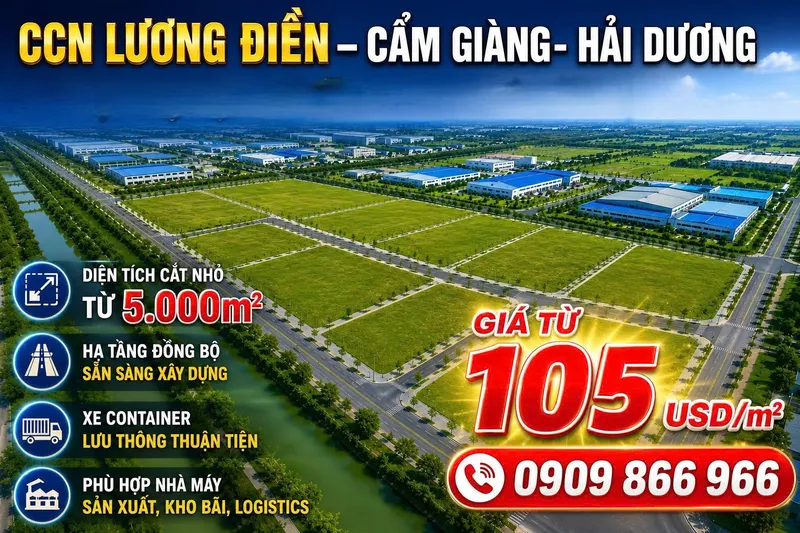 Sản phẩm 95352156 8949 492b 9d61 7edc72913f87202663094015 — Công Ty TNHH Tư Vấn Đầu Tư Bất Động Sản Bảo Tín — MST 0107738287