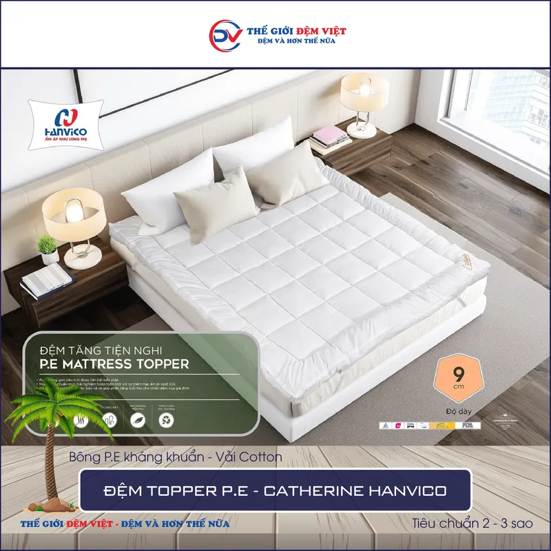 Sản phẩm 11 1 — Công Ty TNHH Sản Xuất Thương Mại Và Đầu Tư Thế Giới Đệm Việt — MST 0107759336