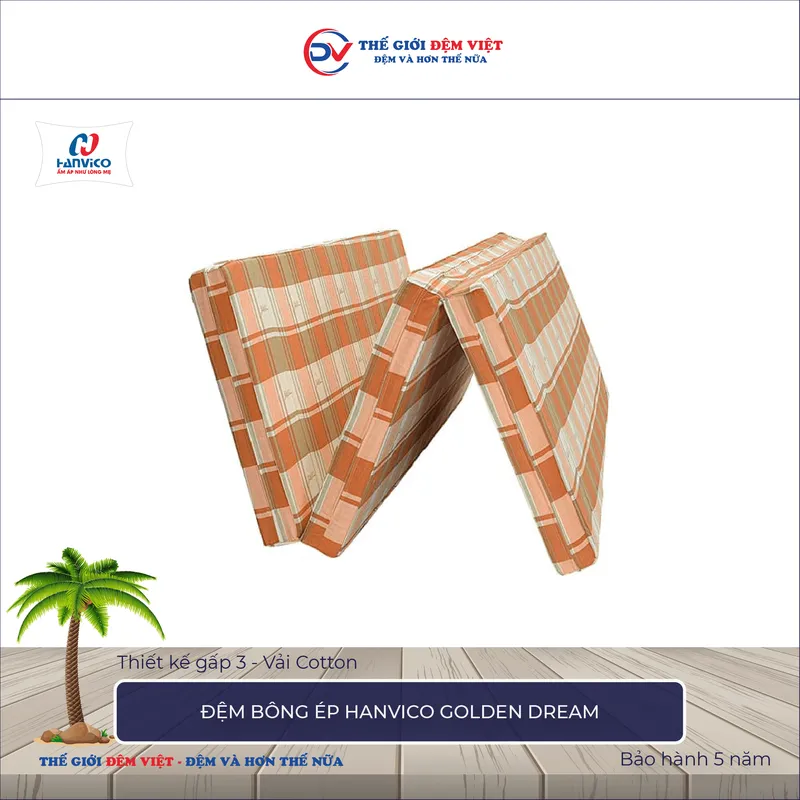 Sản phẩm Đệm bông ép Hanvico Golden Dream — Công Ty TNHH Sản Xuất Thương Mại Và Đầu Tư Thế Giới Đệm Việt — MST 0107759336