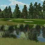 Sản phẩm cg3d blackstork 05 150x150 — Công Ty TNHH Đầu Tư Sao Việt Phát — MST 0107763452