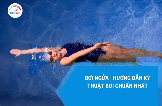 Sản phẩm boi ngua 1 — Công Ty TNHH Phần Mềm JDI — MST 0107765019