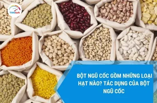 Sản phẩm ngu coc gom nhung loai hat nao jpg — Công Ty TNHH Phần Mềm JDI — MST 0107765019