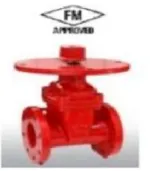 Sản phẩm Van FM 150x171 — Công Ty Cổ Phần Vina An Vinh — MST 0107767697