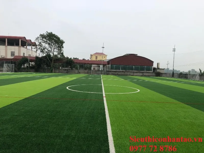 Sản phẩm TC2516UCo san bong da TC2516U 132385074414763025 — Công Ty TNHH Thương Mại Và Phát Triển Thành Công — MST 0107778836