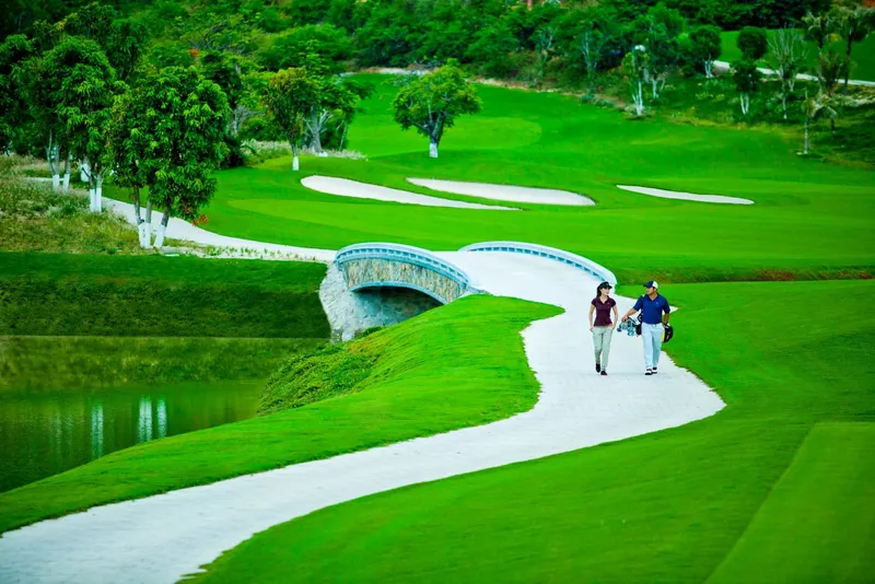 Sản phẩm TC4010CGCo nhan tao san golf TC4010CG 133328475774806641 — Công Ty TNHH Thương Mại Và Phát Triển Thành Công — MST 0107778836