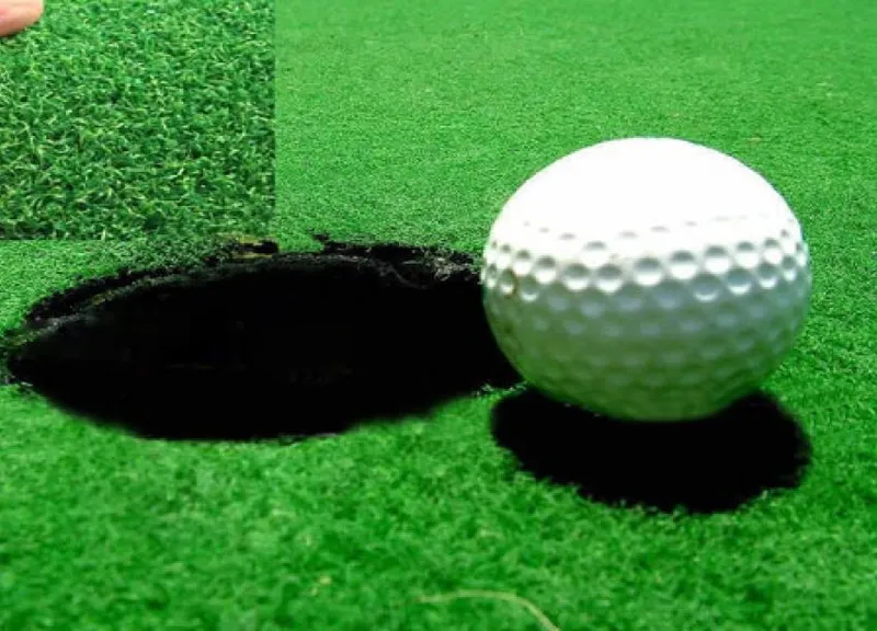 Sản phẩm TC4113CGCo nhan tao san golf TC4113CG 133328478696228416 — Công Ty TNHH Thương Mại Và Phát Triển Thành Công — MST 0107778836