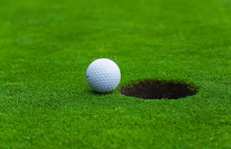 Sản phẩm TC4218CGCo nhan tao san golf TC4218CG 131353222044857040 — Công Ty TNHH Thương Mại Và Phát Triển Thành Công — MST 0107778836