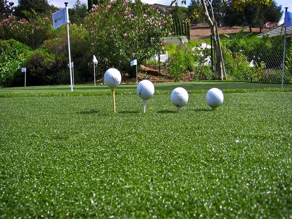 Sản phẩm TC4612CGCo nhan tao san golf TC4612CG 131353223522401551 — Công Ty TNHH Thương Mại Và Phát Triển Thành Công — MST 0107778836