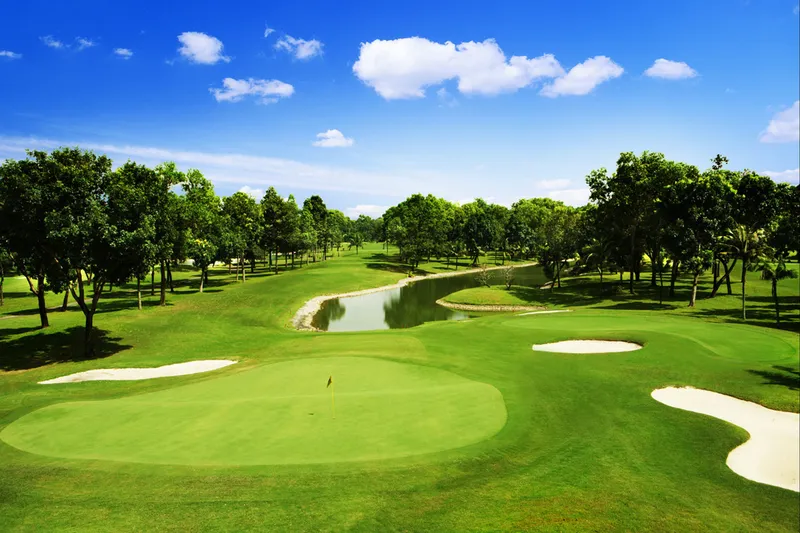 Sản phẩm TC4715CGCo nhan tao san golf TC4715CG 131353224437193874 — Công Ty TNHH Thương Mại Và Phát Triển Thành Công — MST 0107778836