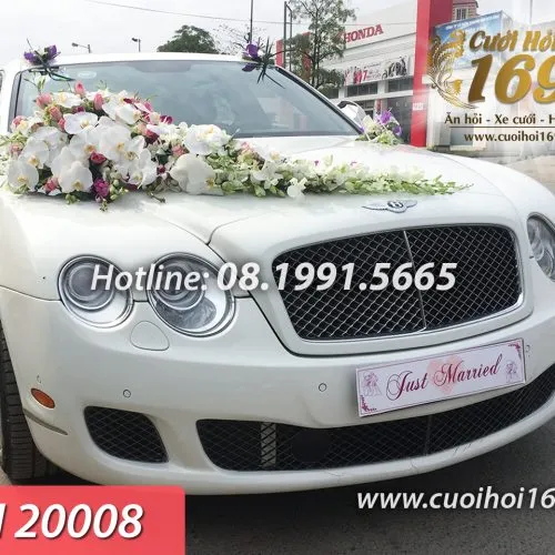 Sản phẩm CH 20008 copy 500x500 — Công ty TNHH Tấn Đức Phúc Cưới Hỏi Trọn Gói 169 — MST 0107784910