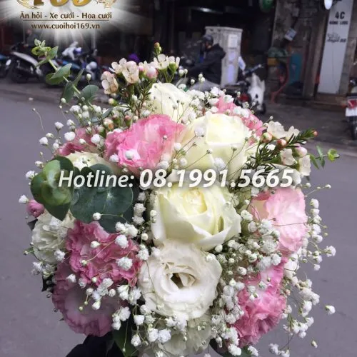 Sản phẩm HT 5003 copy 500x500 — Công ty TNHH Tấn Đức Phúc Cưới Hỏi Trọn Gói 169 — MST 0107784910