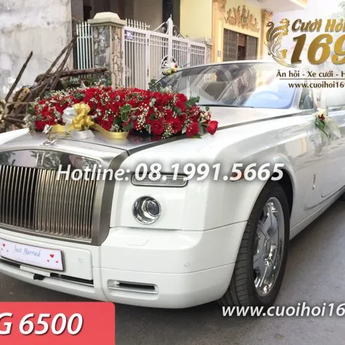 Sản phẩm NG 6500 copy 500x500 — Công ty TNHH Tấn Đức Phúc Cưới Hỏi Trọn Gói 169 — MST 0107784910