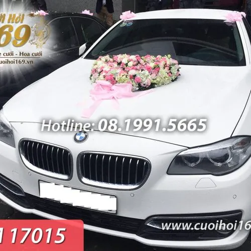 Sản phẩm TM 17015 copy 500x500 — Công ty TNHH Tấn Đức Phúc Cưới Hỏi Trọn Gói 169 — MST 0107784910