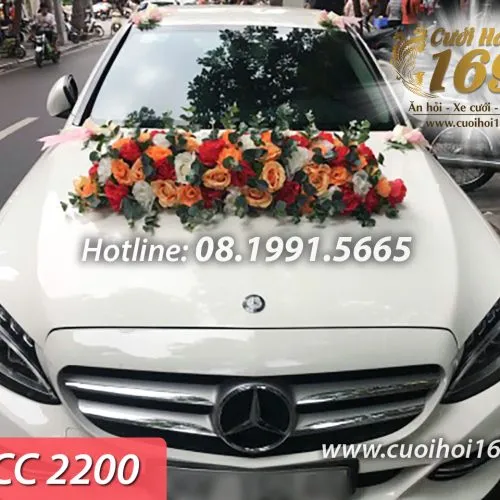 Sản phẩm HLCC 2200 copy 500x500 — Công ty TNHH Tấn Đức Phúc Cưới Hỏi Trọn Gói 169 — MST 0107784910
