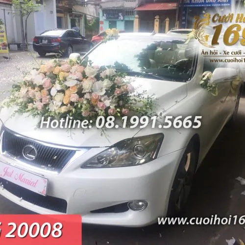 Sản phẩm TG 20008 copy 500x500 — Công ty TNHH Tấn Đức Phúc Cưới Hỏi Trọn Gói 169 — MST 0107784910