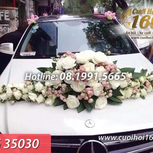 Sản phẩm TG 35030 copy 500x500 — Công ty TNHH Tấn Đức Phúc Cưới Hỏi Trọn Gói 169 — MST 0107784910