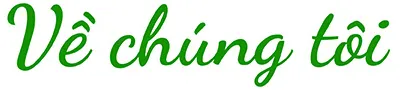 Sản phẩm home about title — Công Ty TNHH Thương Mại Xuất Nhập Khẩu Việt Quốc — MST 0107788552