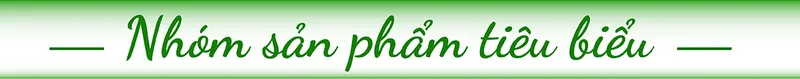 Sản phẩm home nhom sp title — Công Ty TNHH Thương Mại Xuất Nhập Khẩu Việt Quốc — MST 0107788552