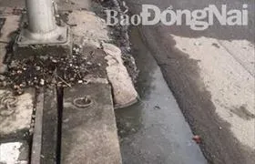 Sản phẩm ho ga bi trao nguoc — Công Ty TNHH Công Nghệ Kỹ Thuật Việt á — MST 0107801330