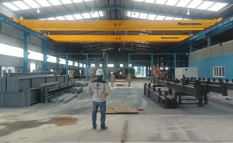 Sản phẩm cau truc 5 tan dam doi 100 — Công Ty CP Thiết Bị Nâng Hạ Và Xây Lắp Công Nghiệp Hà Nội — MST 0107806000