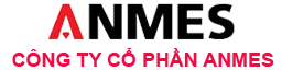 Logo Công Ty CP Anmes